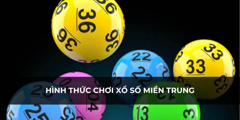 Có nhiều hình thức lựa chọn